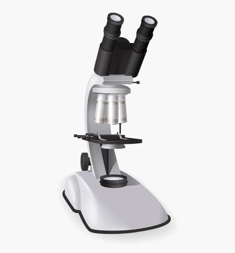 Medical Microscope